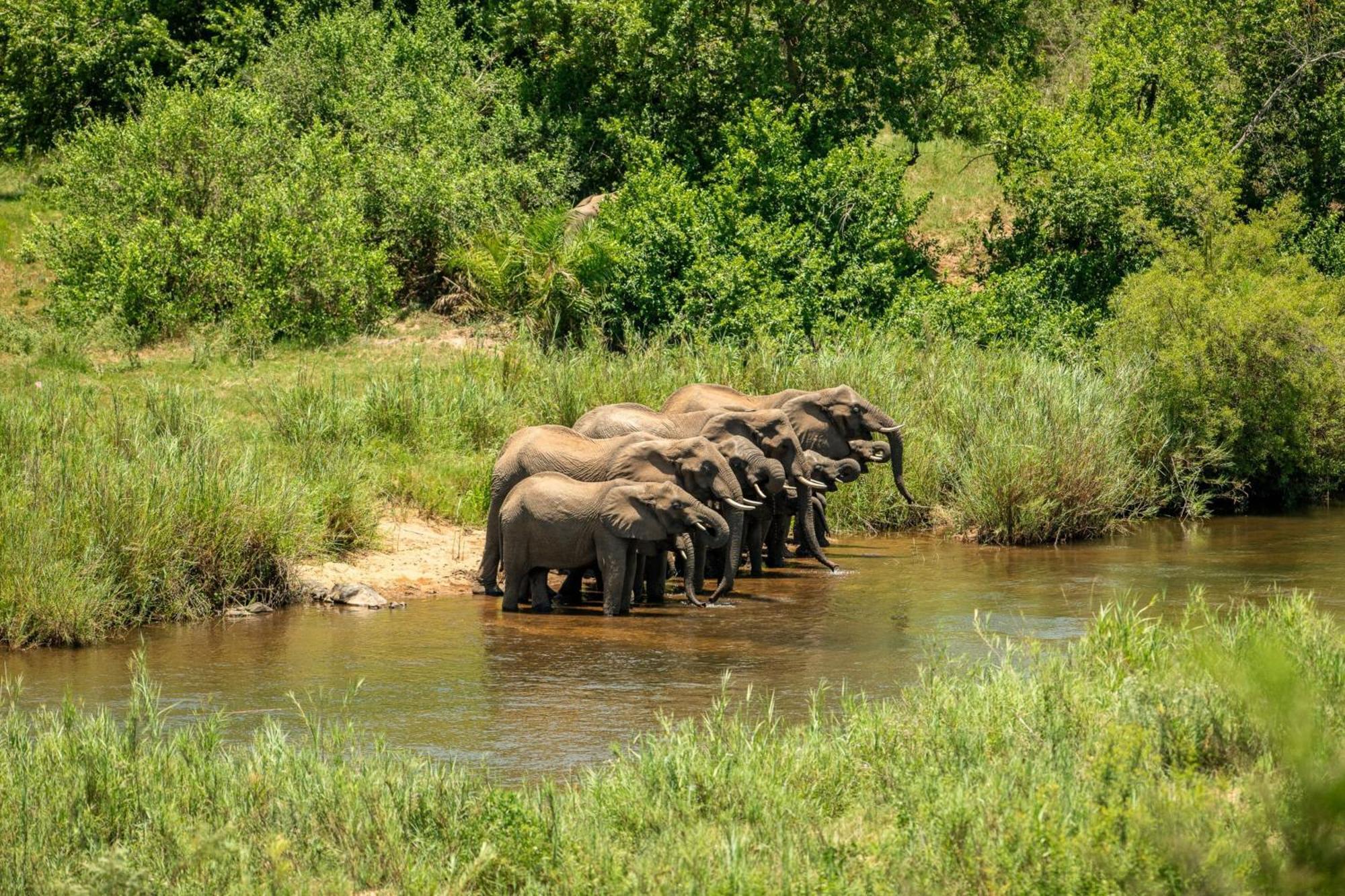 Leopard Sands Kruger Park Скукуза Екстер'єр фото