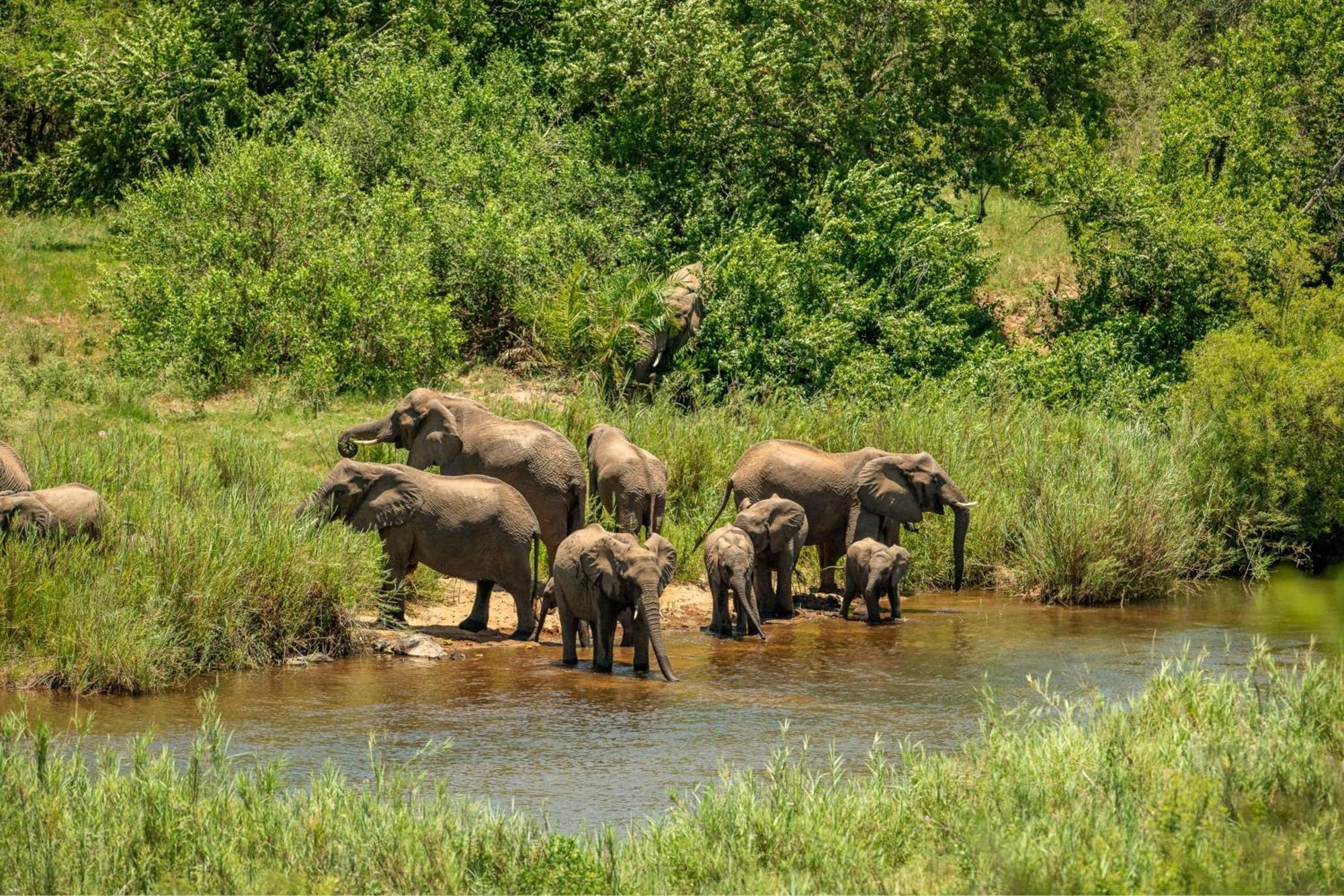 Leopard Sands Kruger Park Скукуза Екстер'єр фото