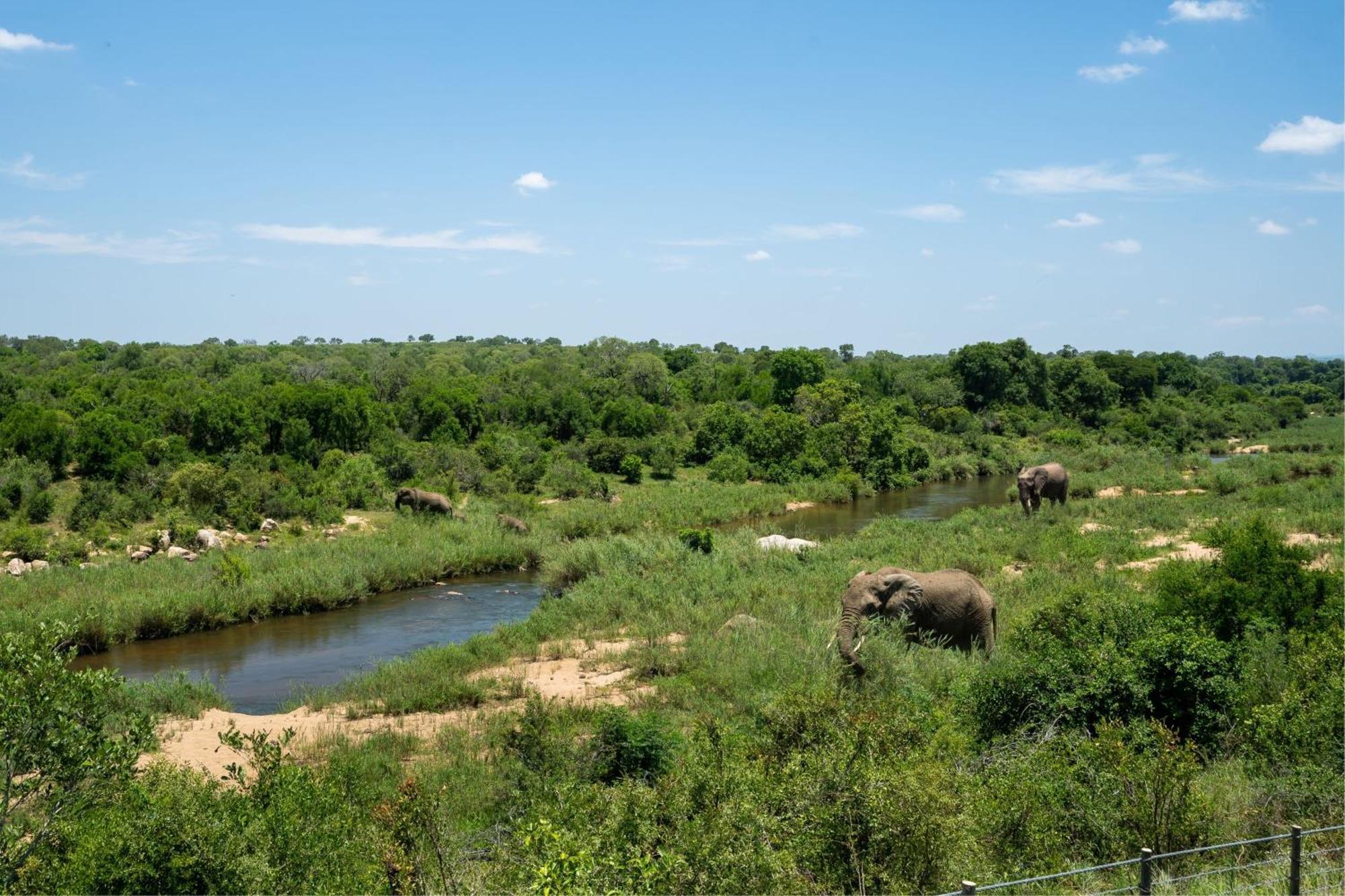 Leopard Sands Kruger Park Скукуза Екстер'єр фото